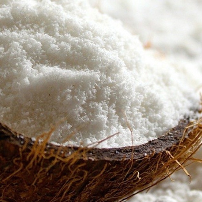 coconut-milk-powder-plant